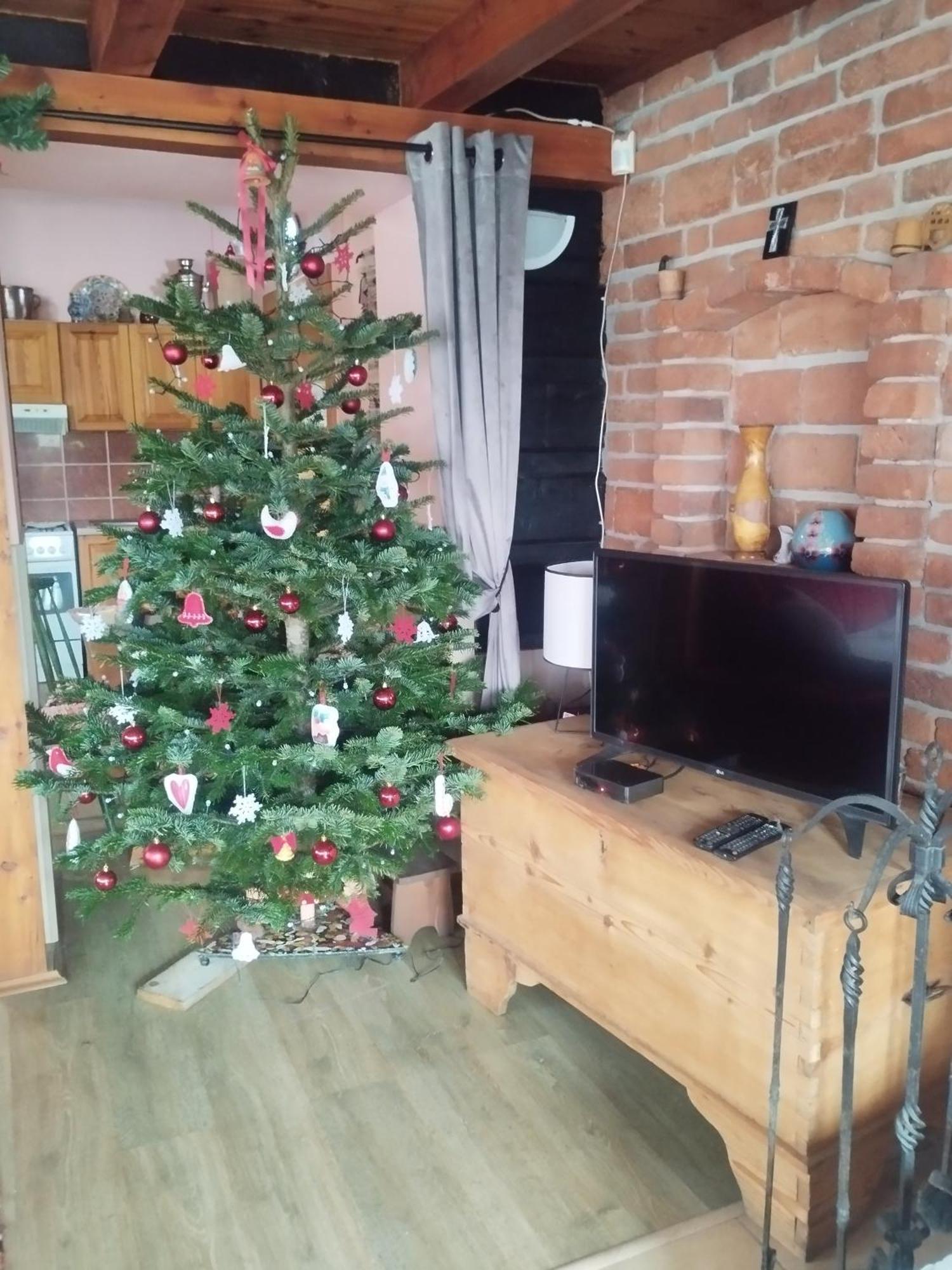 Appartement Drevenica U Holtana à Oscadnica Extérieur photo